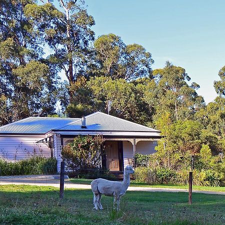Araluen Park Cottages Lakes Entrance Exteriér fotografie