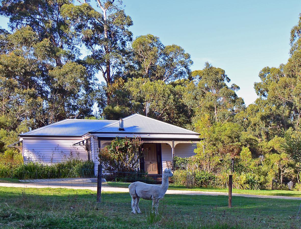 Araluen Park Cottages Lakes Entrance Exteriér fotografie