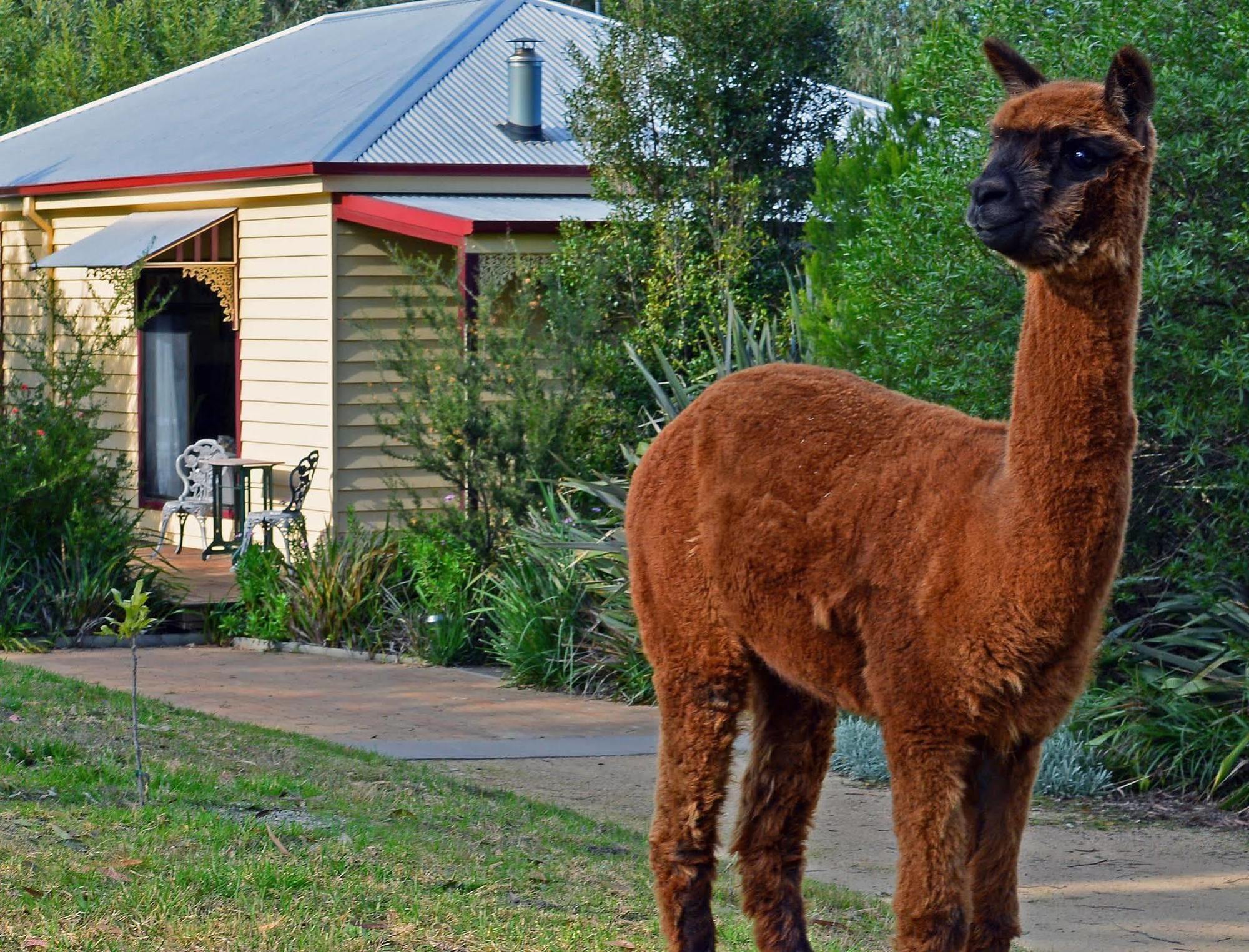 Araluen Park Cottages Lakes Entrance Exteriér fotografie
