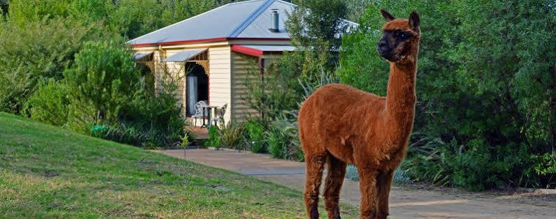 Araluen Park Cottages Lakes Entrance Exteriér fotografie